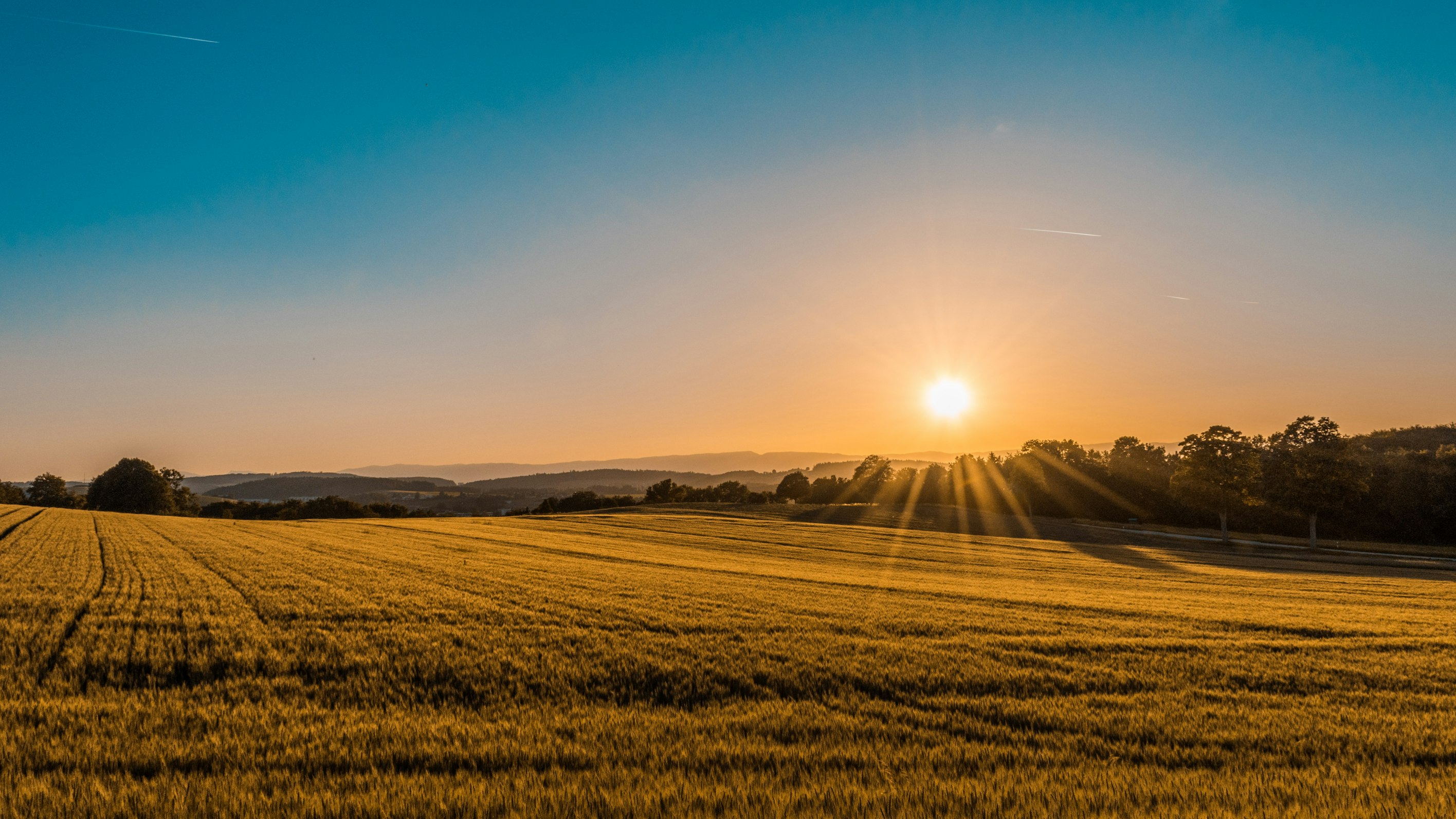 Vue sur des champs avec un chemin paisible, représentant la direction et l'accompagnement